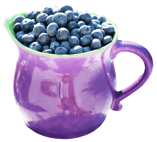 Blueberry Surprise